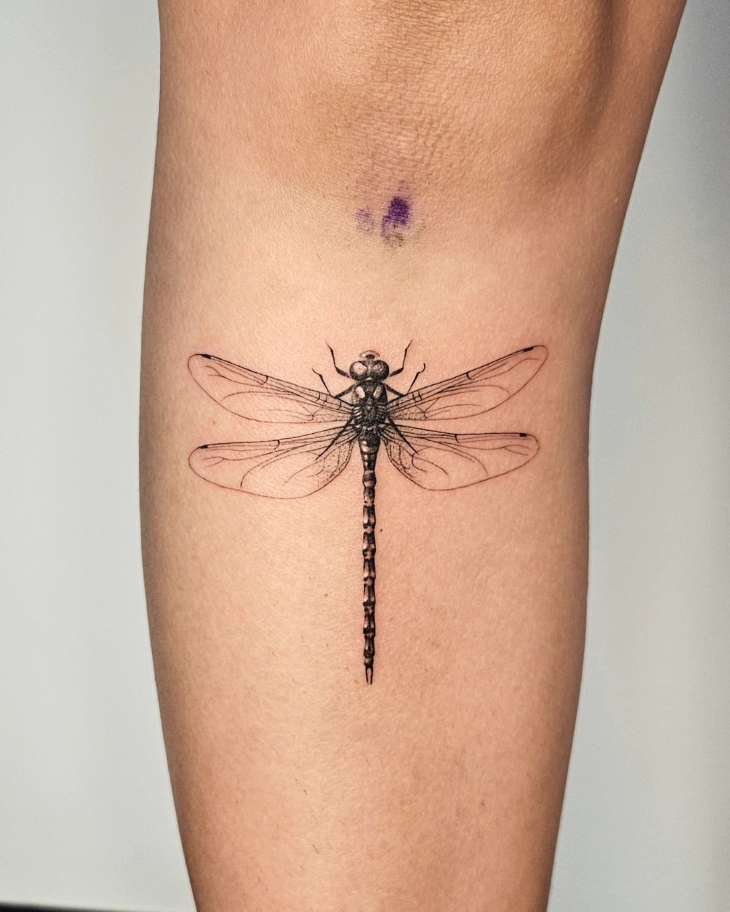 Dragonfly Tattoo: A Unique Embodiment of Elegance and Symbolism - VeAn ...