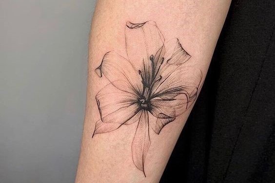 Lily Tattoo