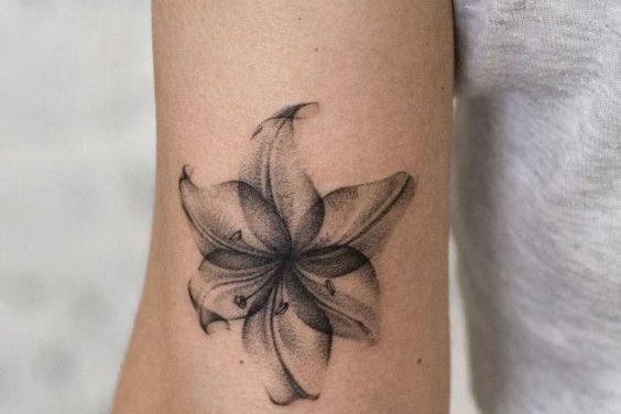 Lily Tattoo