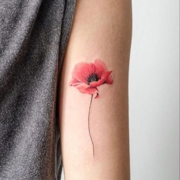 poppy tattoos