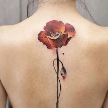 poppy tattoos