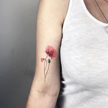 poppy tattoos