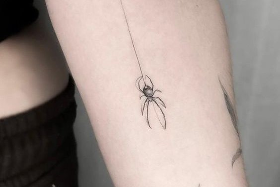 spider tattoos