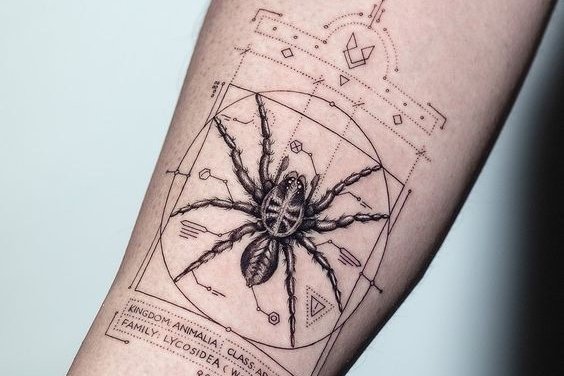 spider tattoos