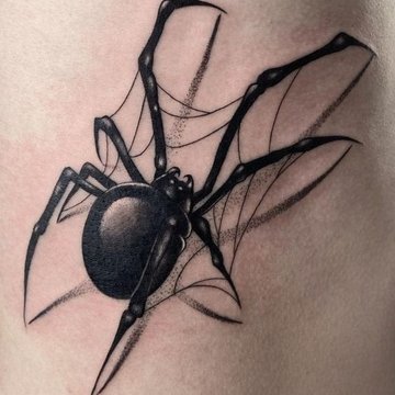 spider tattoos