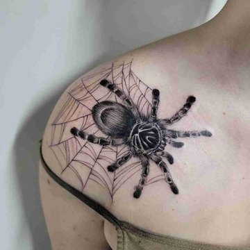 spider tattoos