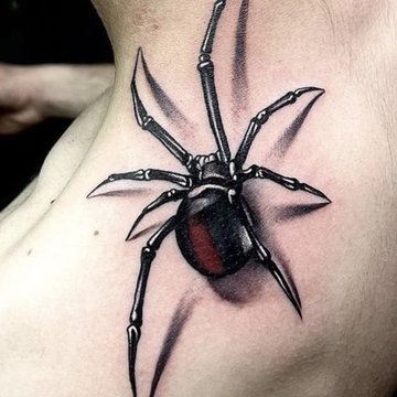 spider tattoos