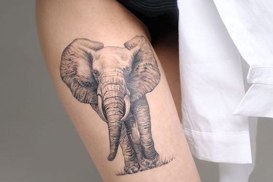 elephant tattoo