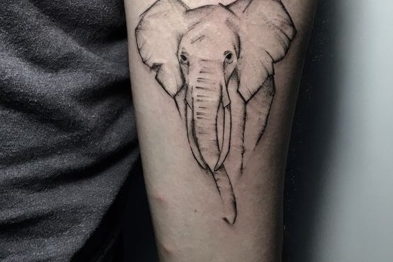elephant tattoo