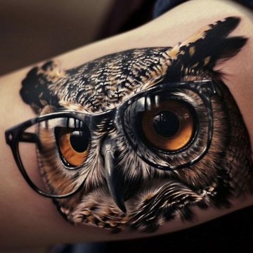 owl tattoos