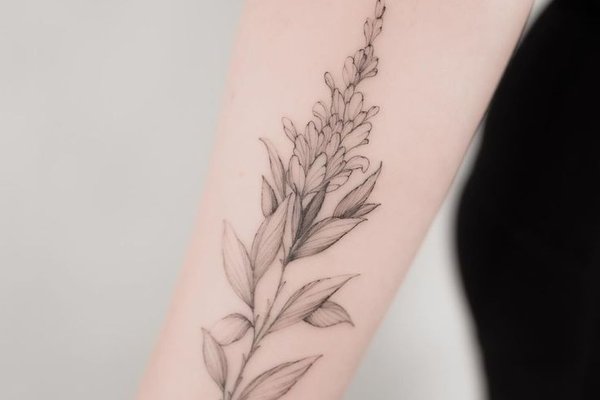 Sage Tattoo