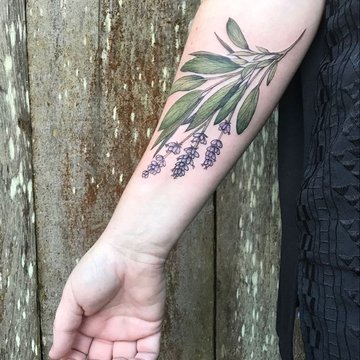 Sage Tattoo