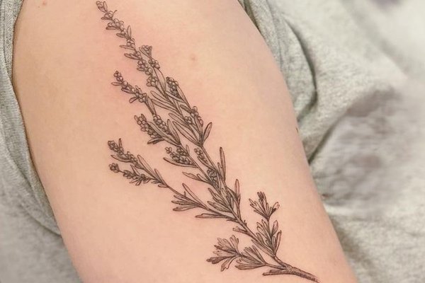 Sage Tattoo