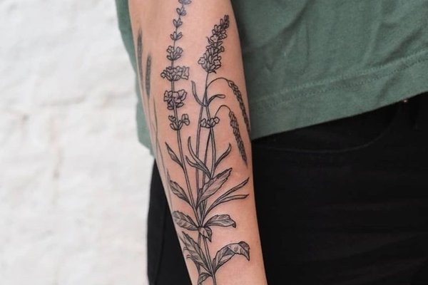 Sage Tattoo