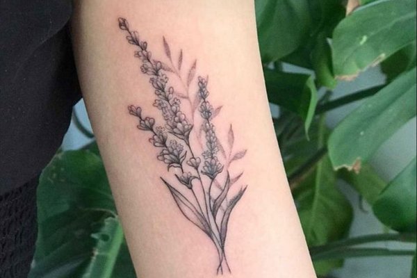 Sage Tattoo