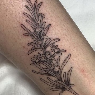 Sage Tattoo