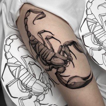 scorpion tattoo