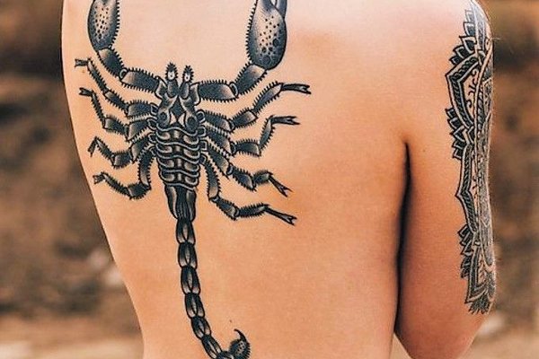 scorpion tattoo